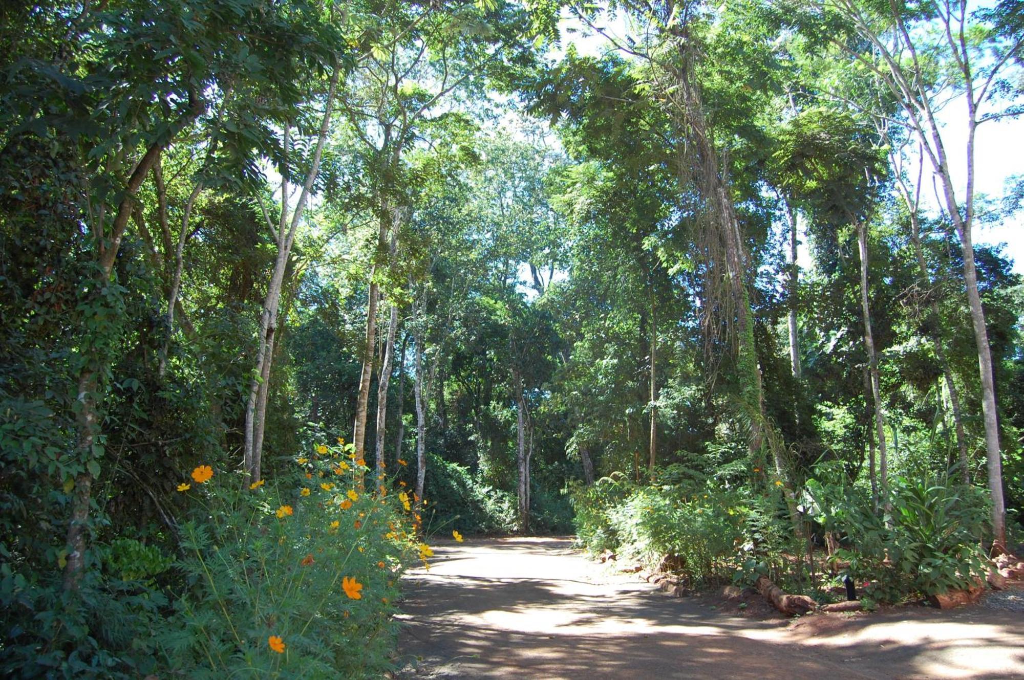 Hotel Sol Cataratas Puerto Iguazú Eksteriør billede